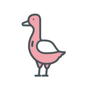 Canada Goose