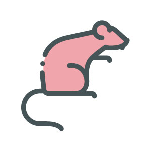 Rodents & Others Pest Services