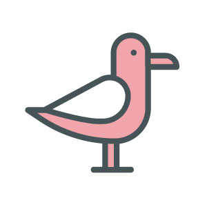 Gulls