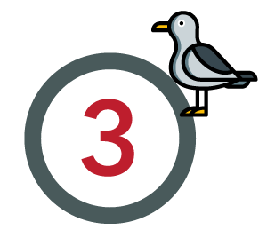 Step 3