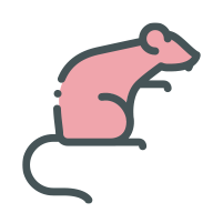 Rat pest control