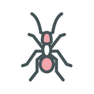 ASW-Pest-Control-Specialists_Trowbridge_Ants