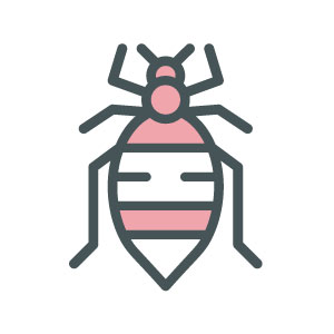 ASW-Pest-Control-Specialists_Trowbridge_Bedbugs