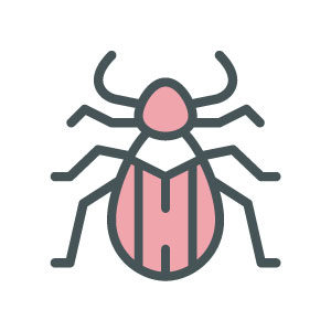 ASW-Pest-Control-Specialists_Trowbridge_Beetles