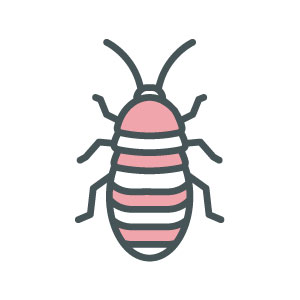 ASW-Pest-Control-Specialists_Trowbridge_Cockroaches