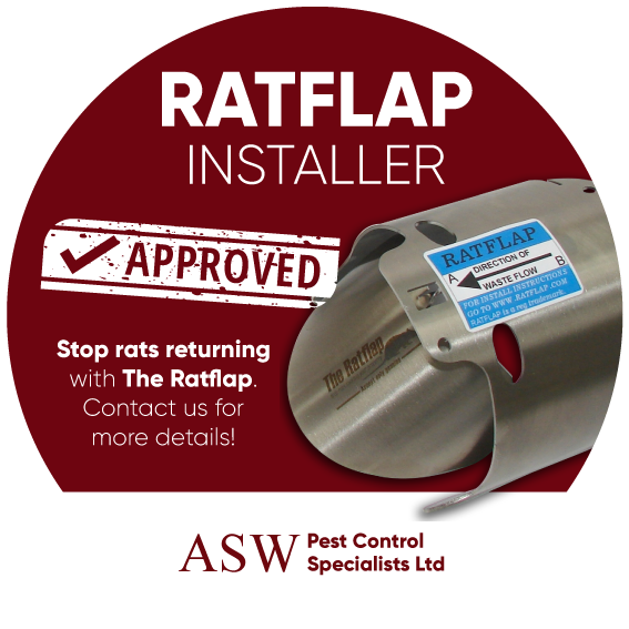 Ratflap Installer