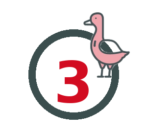 Step 3