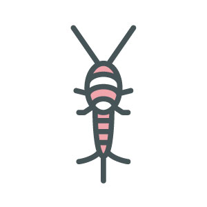 Pest Control Image