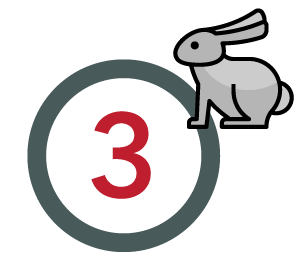Step 3
