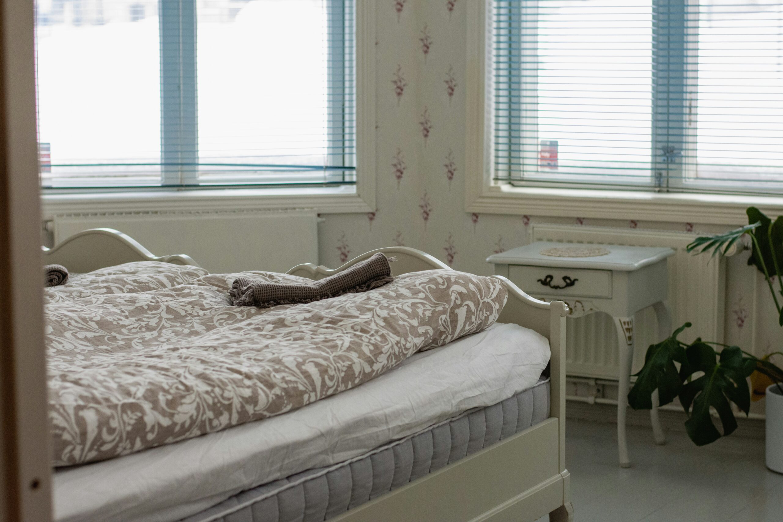 Bed Bugs in Guest Houses and Short-Term Lets