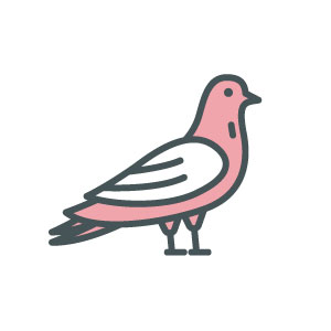 Pest Control Image